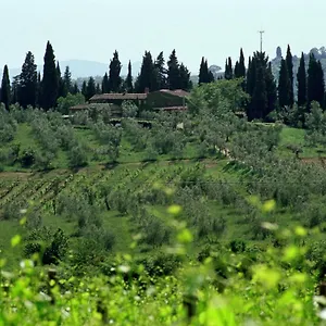 Fattoria Casa Sola Casa di campagna Barberino di Val dʼElsa